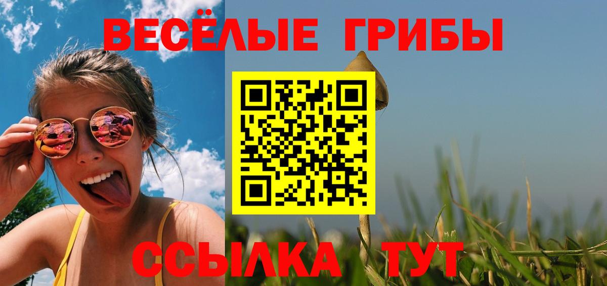 Псилоцибиновые грибы ЛСД  Вход с VPN  Галлюциногенные грибы Cubensis  Волжский 