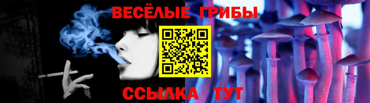 Псилоцибиновые грибы мицелий Волжский